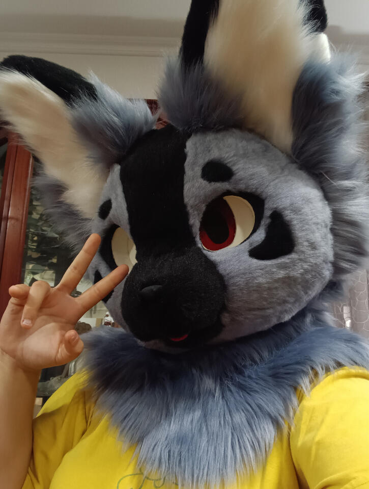 Kemono head - November 2024